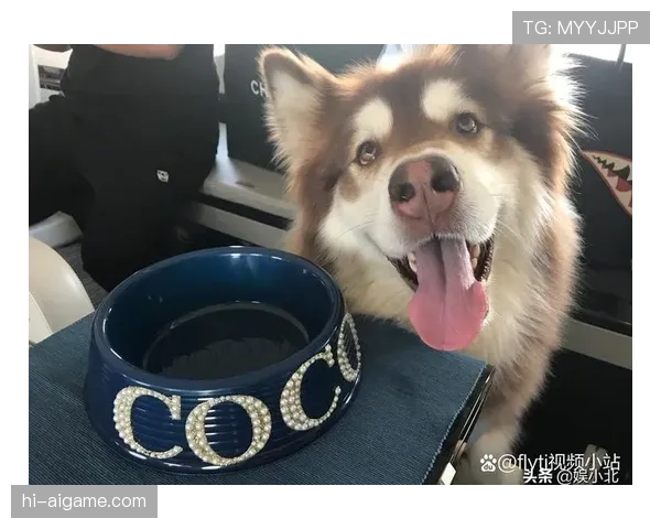 邹敬园竟然家里是那种全自动豪宅,平时训练样子根本看不出这么奢侈!